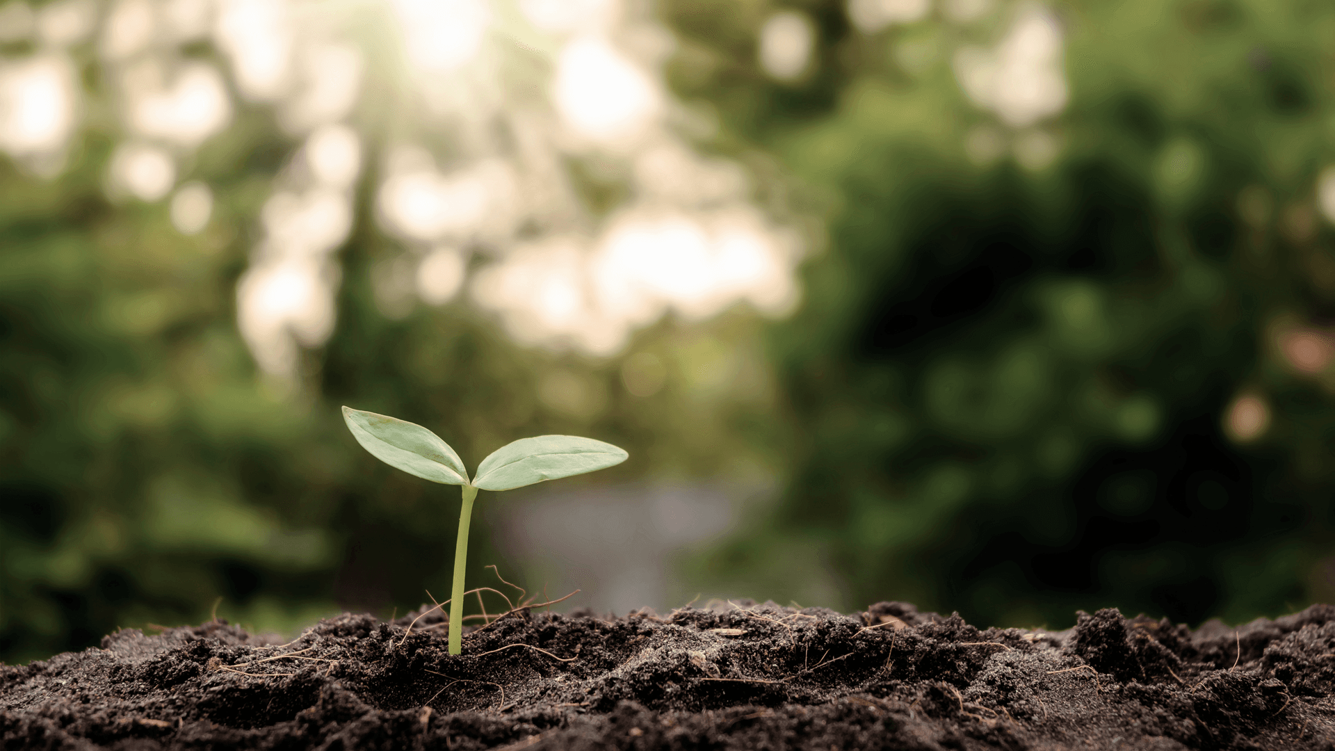 Energierechner von der NNZ