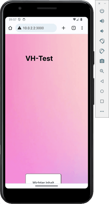 100vh lässt den Call-to-Action Button am unteren Rand des Bildschirms abschneiden.