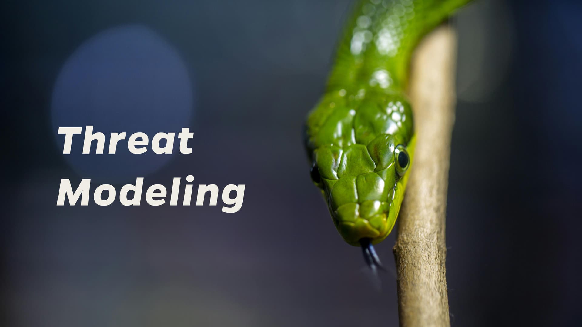 https://unsplash.com/de/fotos/selektive-fokusfotografie-der-grunen-schlange-4PnJV1GUvVU
Foto von Jason Leung auf Unsplash